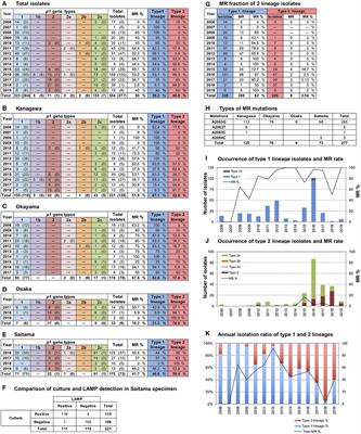 Periodic Genotype Shifts in Clinically Prevalent Mycoplasma pneumoniae Strains in Japan